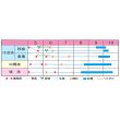 画像2: [落花生]　ナカテユタカ　1L(約590粒)　渡辺農事 (2)