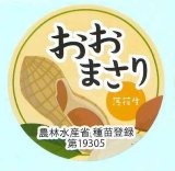 画像: 青果シール　落花生　おおまさり　100枚