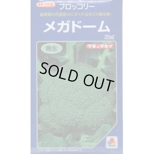 画像1: 送料無料　[ブロッコリー]　メガドーム　5000粒　ペレット種子　タキイ種苗(株) (1)