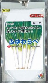 画像: 送料無料　[ねぎ]　ふゆわらべ　1dl　タキイ種苗