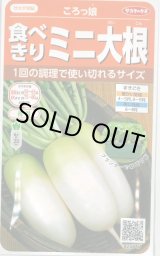 画像: 送料無料　[大根]　ミニダイコン　ころっ娘　約150粒　(株)サカタのタネ　実咲450（003073）