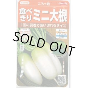 画像: 送料無料　[大根]　ミニダイコン　ころっ娘　約150粒　(株)サカタのタネ　実咲450（003073）