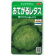 画像1: 送料無料　[レタス]　キングクラウン　約550粒　(株)サカタのタネ　実咲350（003025） (1)