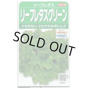 画像: 送料無料　[レタス]　リーフレタス　グリーン　約1200粒　(株)サカタのタネ　実咲350（003033）