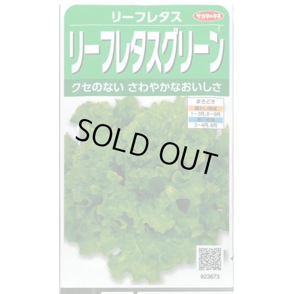 画像1: 送料無料　[レタス]　リーフレタス　グリーン　約1200粒　(株)サカタのタネ　実咲350（003033） (1)