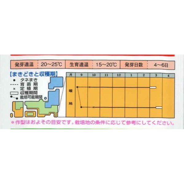 画像4: 送料無料　[キャベツ]　送料無料　春のかほりSP　ペレット5000粒　タキイ種苗(株) (4)