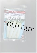 画像: 送料無料　[大根]　夏の守　8000粒　(株)サカタのタネ