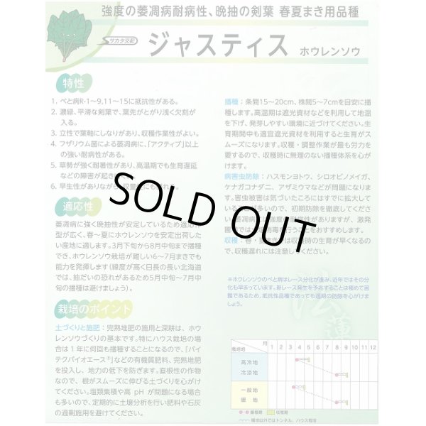 画像2: 送料無料　[ほうれんそう]　ジャスティス　約900粒　(株)サカタのタネ　実咲350（003014） (2)