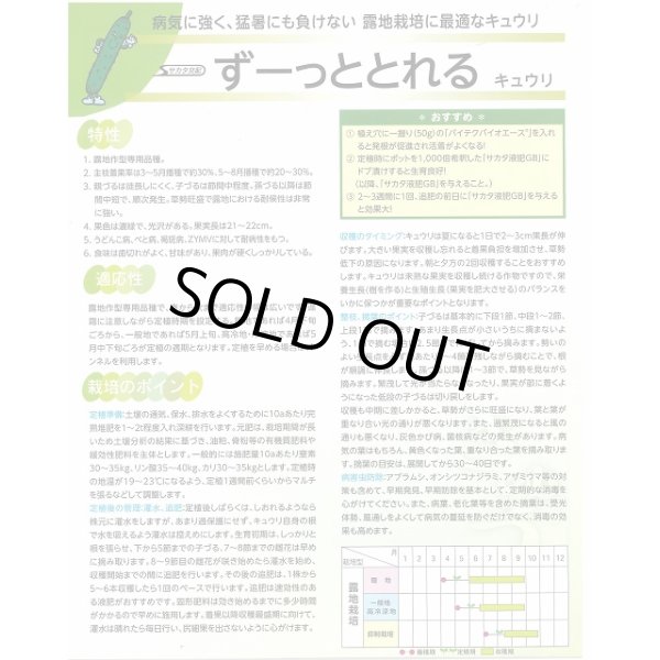 画像2: 送料無料　[キュウリ]　ずーっととれる　350粒　(株)サカタのタネ (2)