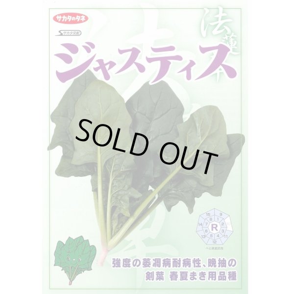 画像3: 送料無料　[ほうれんそう]　ジャスティス　約900粒　(株)サカタのタネ　実咲350（003014） (3)