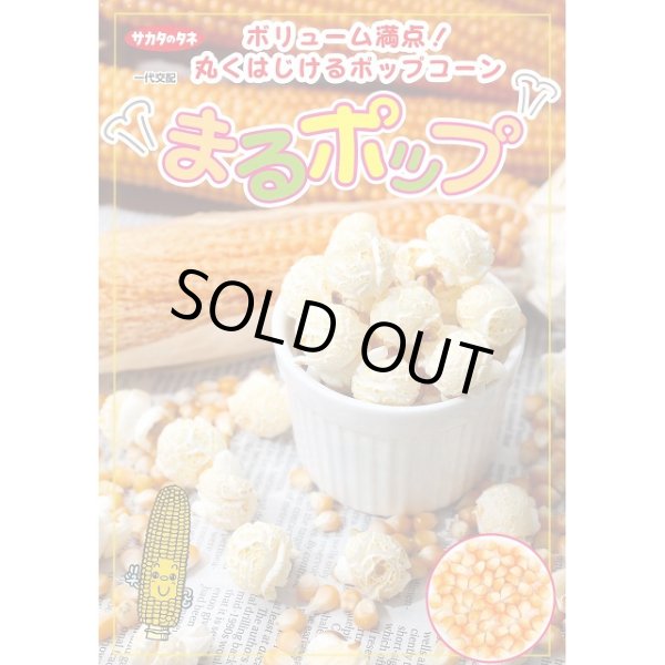 画像2: 送料無料　[とうもろこし]　まるポップ　約65粒　(株)サカタのタネ　実咲450（002893） (2)