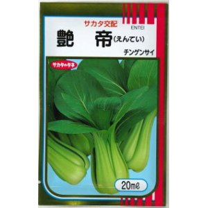 画像: 送料無料　[中国野菜]　チンゲンサイ　艶帝　20ml　(株)サカタのタネ