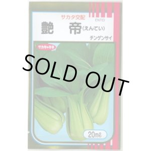 画像: 送料無料　[中国野菜]　チンゲンサイ　艶帝　20ml　(株)サカタのタネ