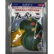 画像1: 送料無料　[かぼちゃ]　みやこ　100粒　(株)サカタのタネ (1)