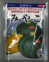 画像: 送料無料　[かぼちゃ]　みやこ　100粒　(株)サカタのタネ