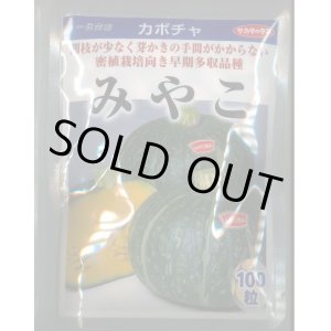 画像: 送料無料　[かぼちゃ]　みやこ　100粒　(株)サカタのタネ