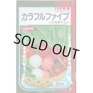 画像: 送料無料　[大根]　はつかだいこん　カラフルファイブ　20ml　(株)サカタのタネ