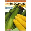 画像2: 送料無料　[とうもろこし]　わくわくコーン82　100粒　カネコ交配 (2)