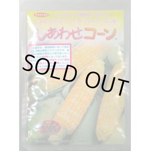 画像: [とうもろこし]　しあわせコーン　2000粒(2024年10%増量)(株)サカタのタネ