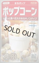 画像: 送料無料　[とうもろこし]　まるポップ　約65粒　(株)サカタのタネ　実咲450（002893）