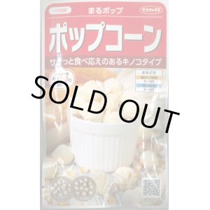 画像: 送料無料　[とうもろこし]　まるポップ　約65粒　(株)サカタのタネ　実咲450（002893）