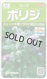 画像: 送料無料　[ハーブの種]　ボリジ　約45粒　(株)サカタのタネ　実咲（003191）