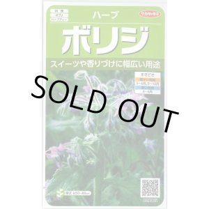 画像: 送料無料　[ハーブの種]　ボリジ　約45粒　(株)サカタのタネ　実咲（003191）