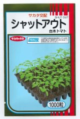 画像: 送料無料　[台木/トマト用]　シャットアウト　1000粒　(株)サカタのタネ