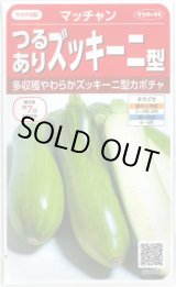 画像: 送料無料　[かぼちゃ]　マッチャン　約8粒　(株)サカタのタネ　実咲450(002871)