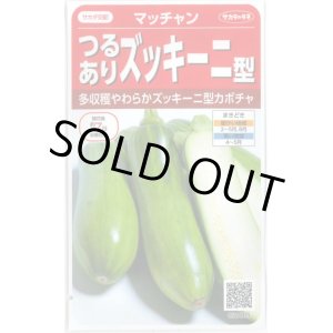 画像: 送料無料　[かぼちゃ]　マッチャン　約8粒　(株)サカタのタネ　実咲400(002871)