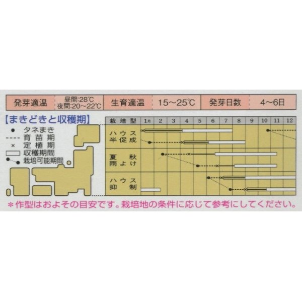 画像3: 送料無料　[トマト/桃太郎系]　桃太郎ファイト　1000粒　2L　ペレット種子　タキイ種苗(株) (3)