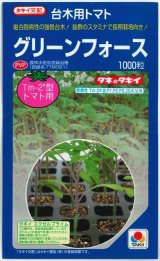 画像: 送料無料　[台木/トマト用]　グリーンフォース　1000粒　タキイ種苗(株)