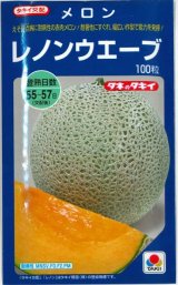 画像: 送料無料　[メロン]　レノンウェーブ　100粒　タキイ種苗(株)