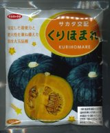 画像: 送料無料　[かぼちゃ]　くりほまれ　500粒　(株)サカタのタネ