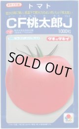 画像: 送料無料　[トマト/桃太郎系]　CF桃太郎J　1000粒