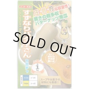 画像: 送料無料　[かぼちゃ]　すずなりバタ子さん　6粒　ナント種苗(株)