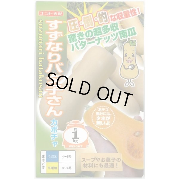 画像1: 送料無料　[かぼちゃ]　すずなりバタ子さん　6粒　ナント種苗(株) (1)