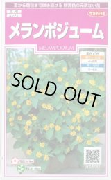 画像: 送料無料　花の種　メランポジューム　約50粒　(株)サカタのタネ　実咲350（026165）