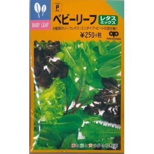 画像: 送料無料　[葉物]ベビーリーフ　レタスミックス　20ml(およそ8100粒)　中原採種場(株)