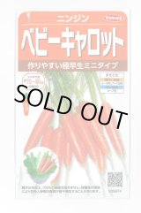 画像: 送料無料　[人参]　ベビーキャロット　ミニニンジン　約1200粒　(株)サカタのタネ　実咲250（003117）