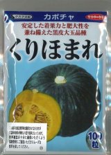 画像: 送料無料　[かぼちゃ]　くりほまれ　100粒　(株)サカタのタネ