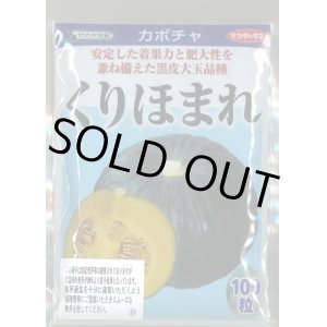 画像: 送料無料　[かぼちゃ]　くりほまれ　100粒　(株)サカタのタネ