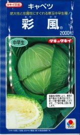 画像: 送料無料　[キャベツ]　彩風　2000粒　タキイ種苗(株)