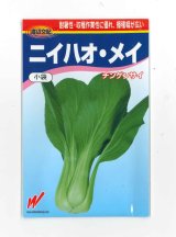 画像: 送料無料　[中国野菜]　チンゲンサイ　ニイハオ・メイ　600粒　渡辺農事