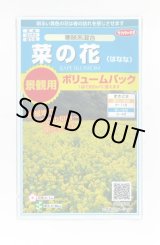 画像: 送料無料　花の種　景観用　菜の花　寒咲系混合　約5平米用　（株）サカタのタネ　実咲350（026177）