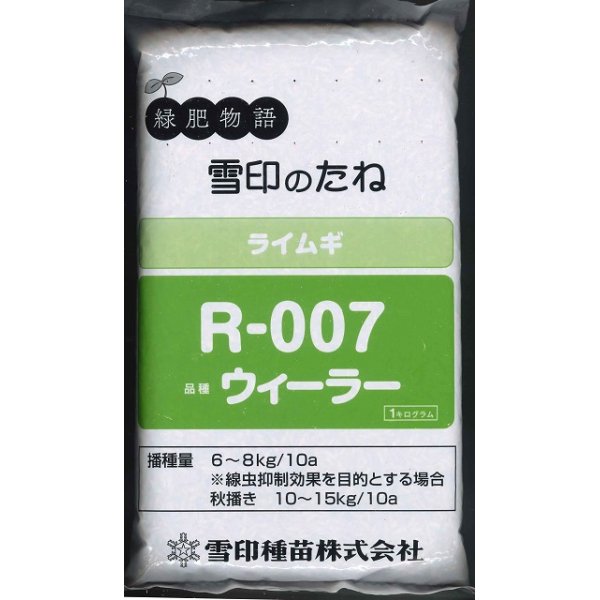 画像1: [緑肥]　ライ麦　R-007　1kg　雪印種苗(株) (1)