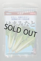 画像: 送料無料　[葉物]　はまみなとべかな　2dl　(株)サカタのタネ