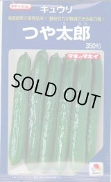 画像: 送料無料　[キュウリ]　つや太郎　350粒　タキイ種苗(株)