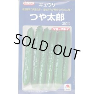 画像: 送料無料　[キュウリ]　つや太郎　350粒　タキイ種苗(株)