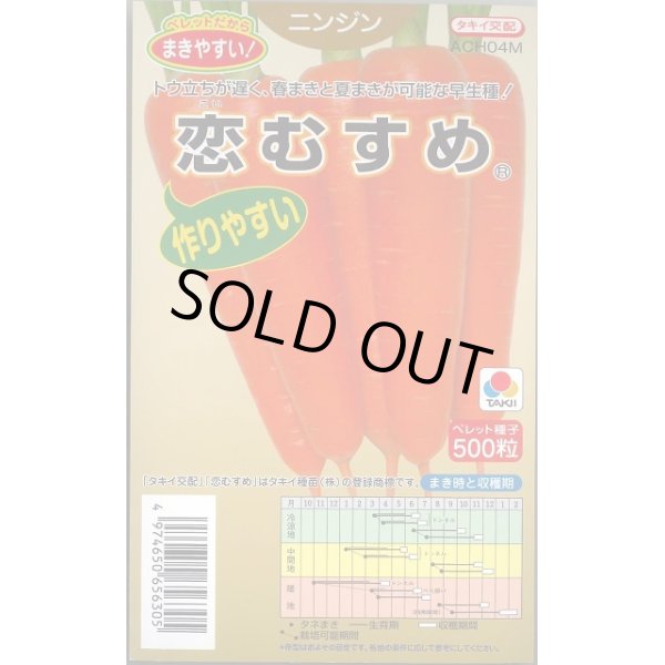 画像1: 送料無料　[人参]　恋むすめ　500粒　タキイ種苗(株) (1)